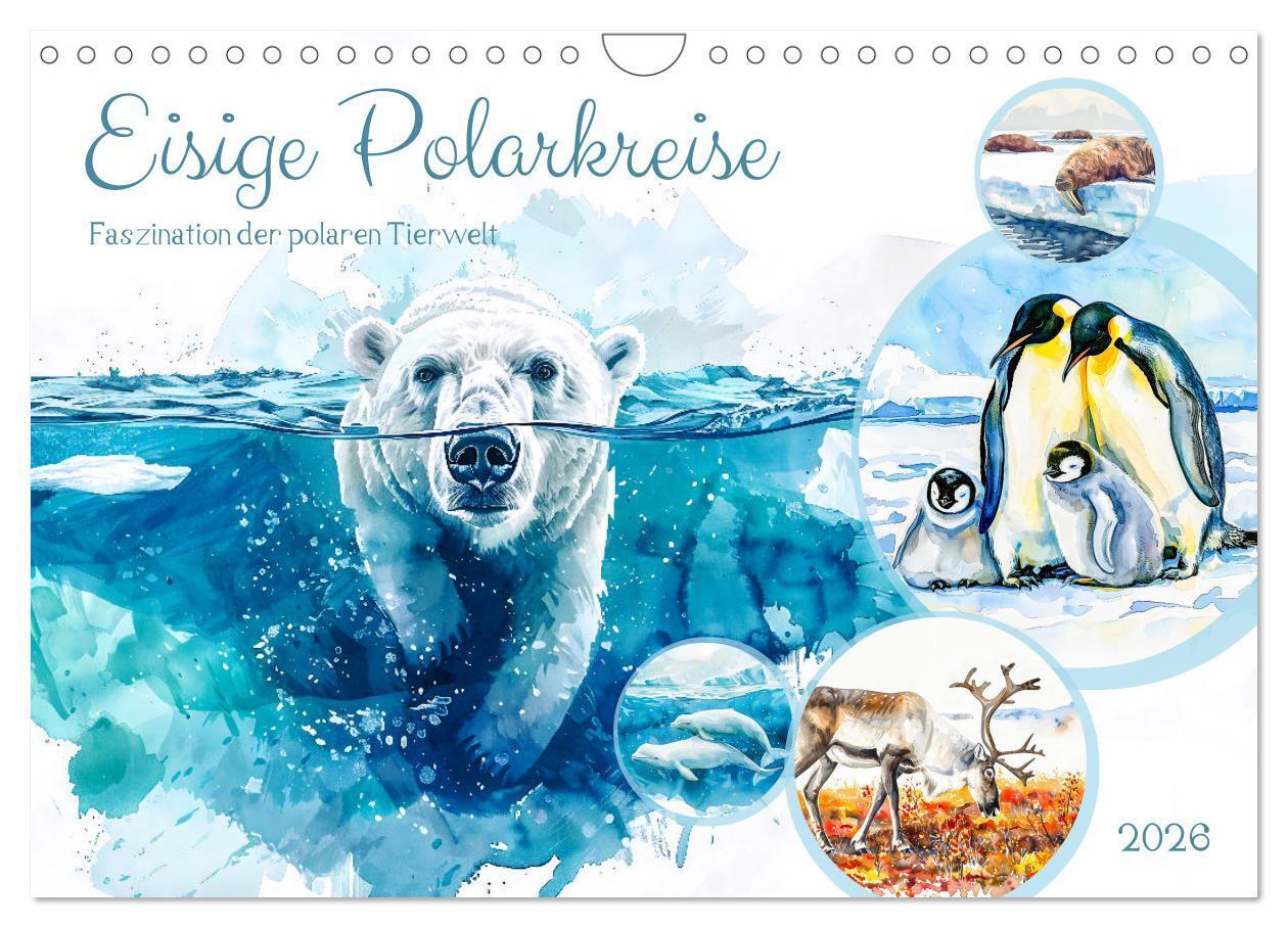 Eisige Polarkreise - Faszination der polaren Tierwelt (Wandkalender 2026 DIN A4 quer) CALVENDO Monatskalender