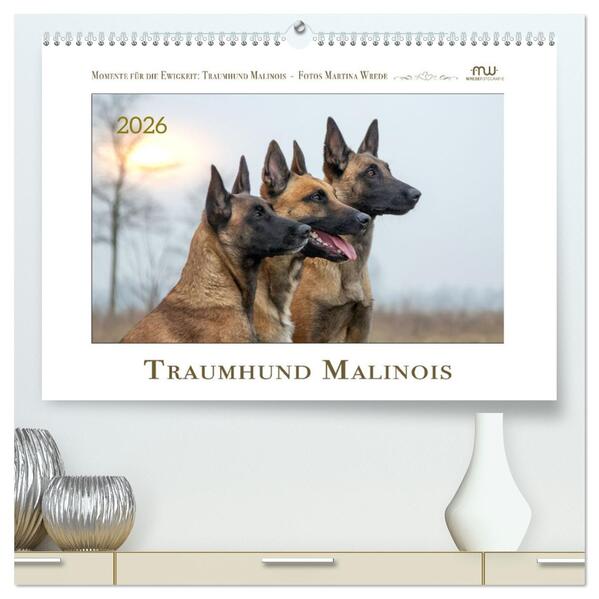 Traumhund Malinois (hochwertiger Premium Wandkalender 2026 DIN A2 quer) Kunstdruck in Hochglanz