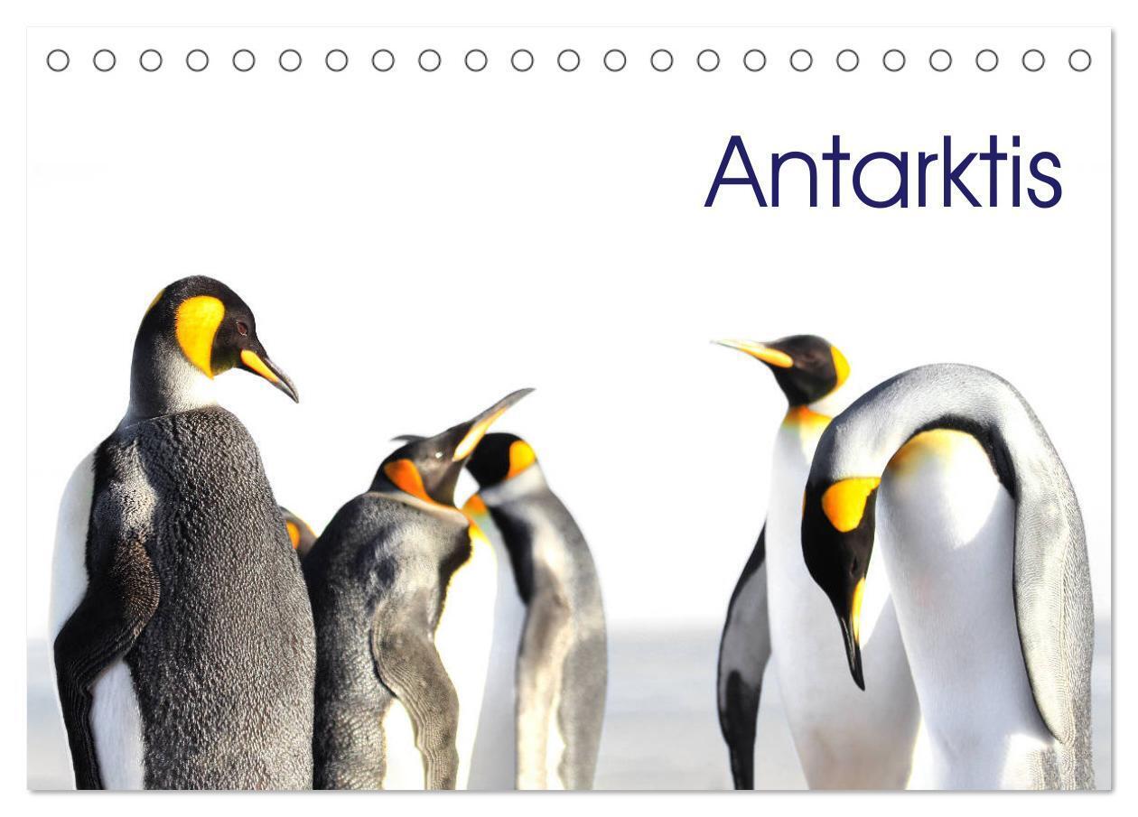 Antarktis - viaje.ch (Tischkalender 2026 DIN A5 quer) CALVENDO Monatskalender