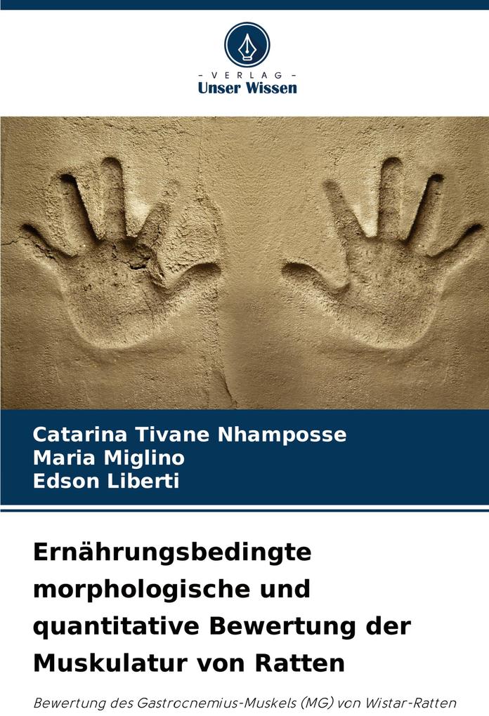 Ernährungsbedingte morphologische und quantitative Bewertung der Muskulatur von Ratten