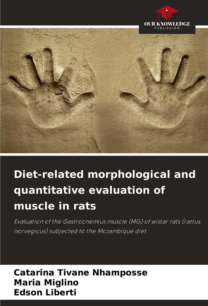 Diet-related morphological and quantitative evaluation of muscle in rats