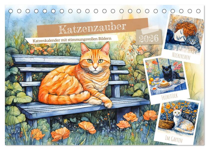 Katzenzauber - Katzenkalender mit stimmungsvollen Bildern (Tischkalender 2026 DIN A5 quer) CALVENDO Monatskalender