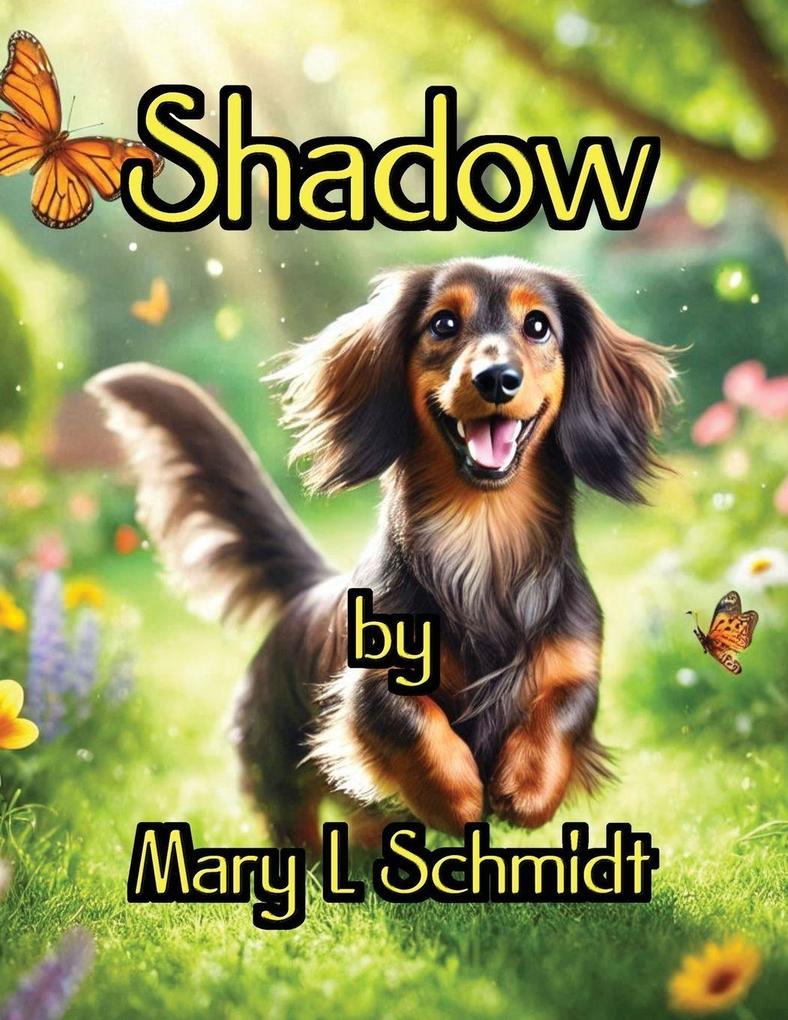 Shadow