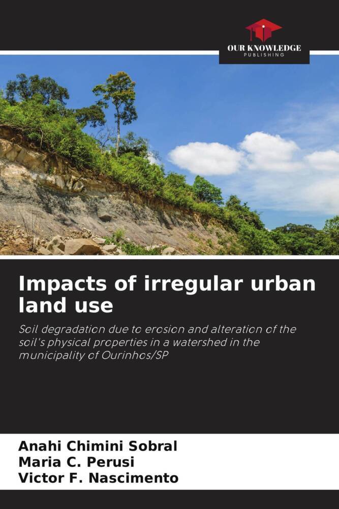 Impacts of irregular urban land use
