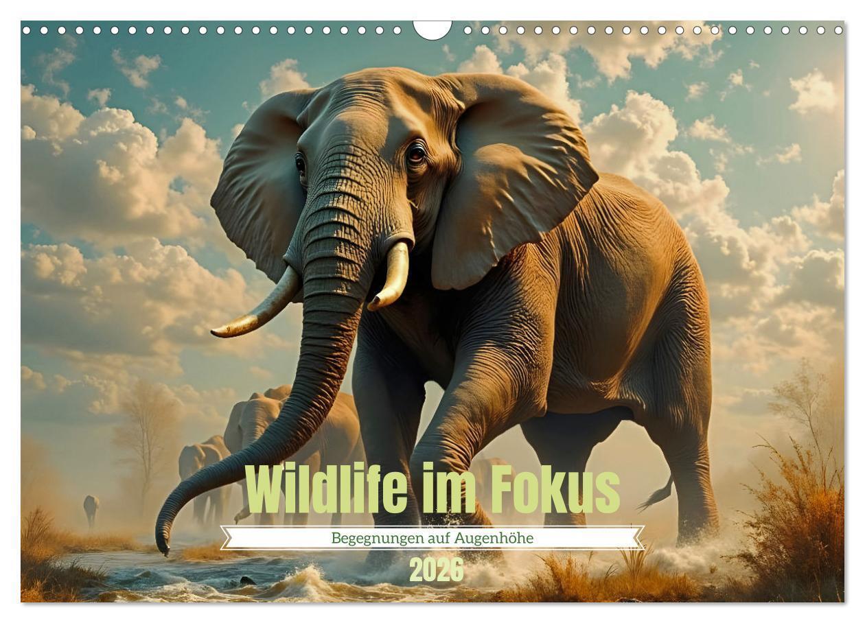 Wildlife im Fokus - Begegnungen auf Augenhöhe (Wandkalender 2026 DIN A3 quer) CALVENDO Monatskalender