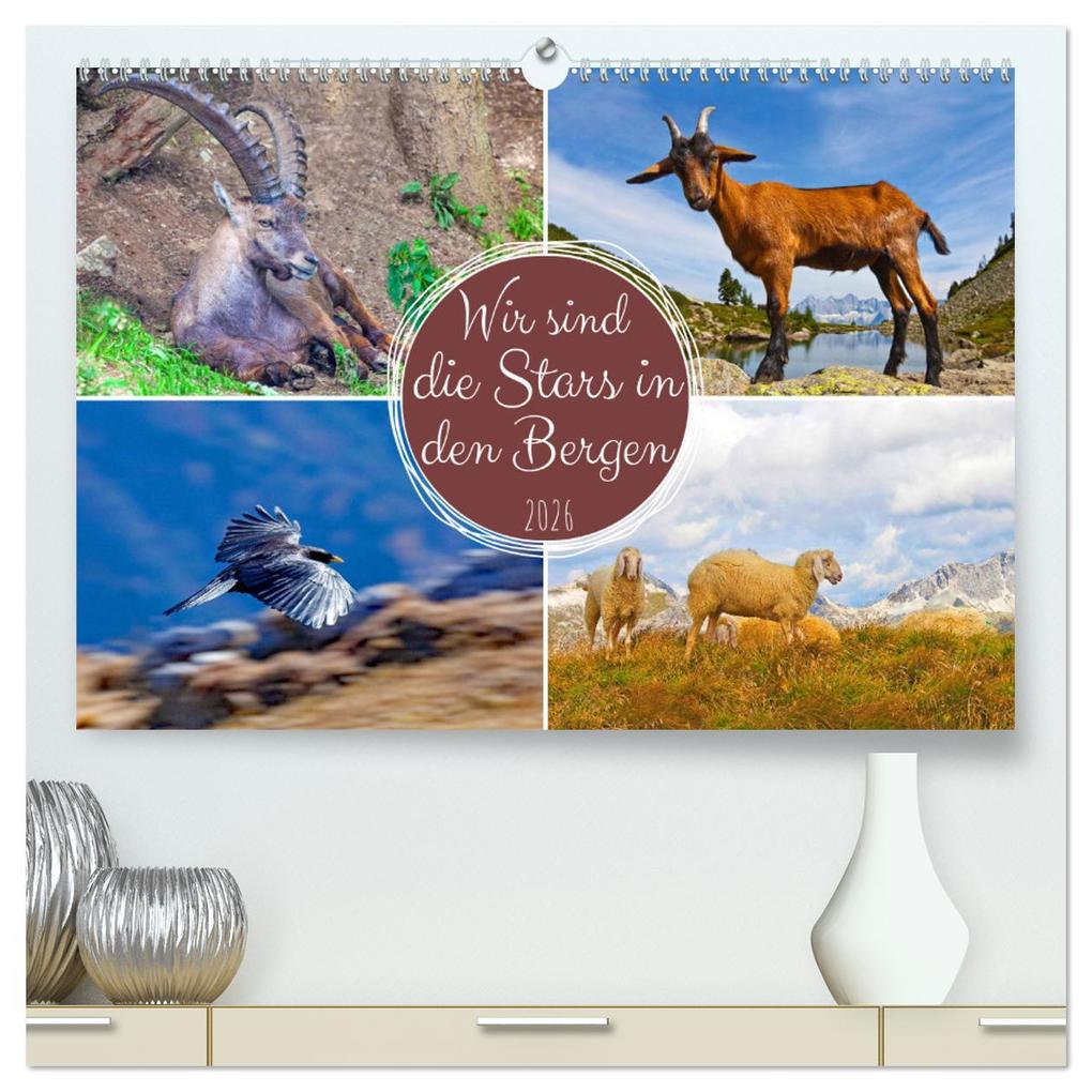 Wir sind die Stars in den Bergen (hochwertiger Premium Wandkalender 2026 DIN A2 quer) Kunstdruck in Hochglanz