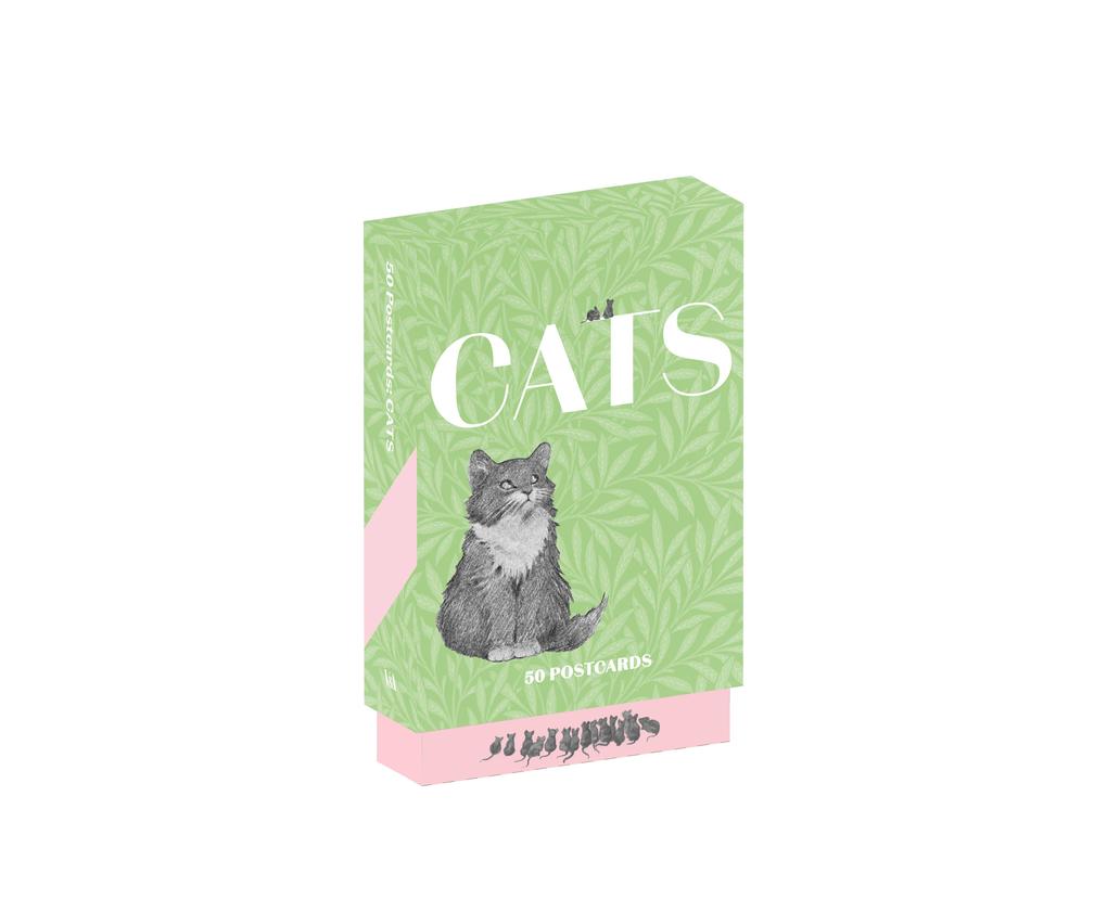 Cats of V&A. 50 Postcards