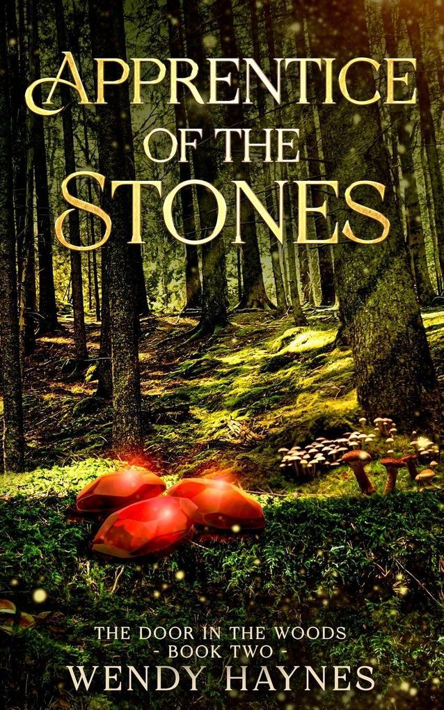 Apprentice of the Stones