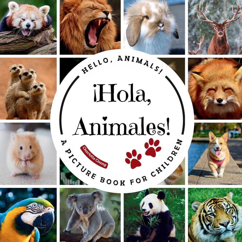 ¡Hola Animales!