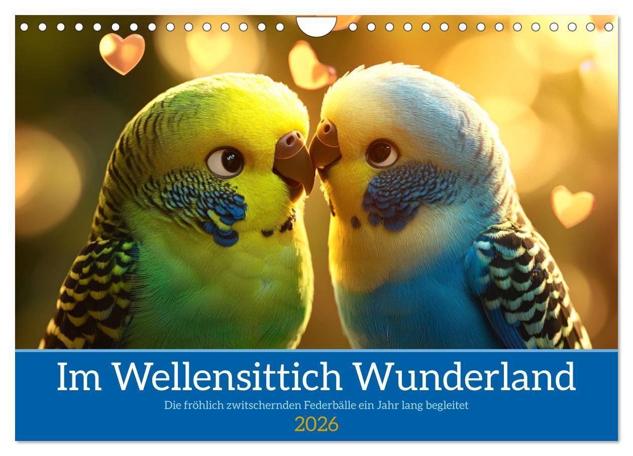 Im Wellensittich Wunderland (Wandkalender 2026 DIN A4 quer) CALVENDO Monatskalender