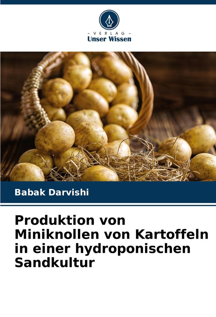 Produktion von Miniknollen von Kartoffeln in einer hydroponischen Sandkultur