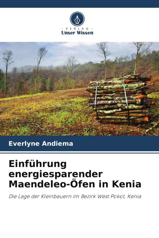 Einführung energiesparender Maendeleo-Öfen in Kenia