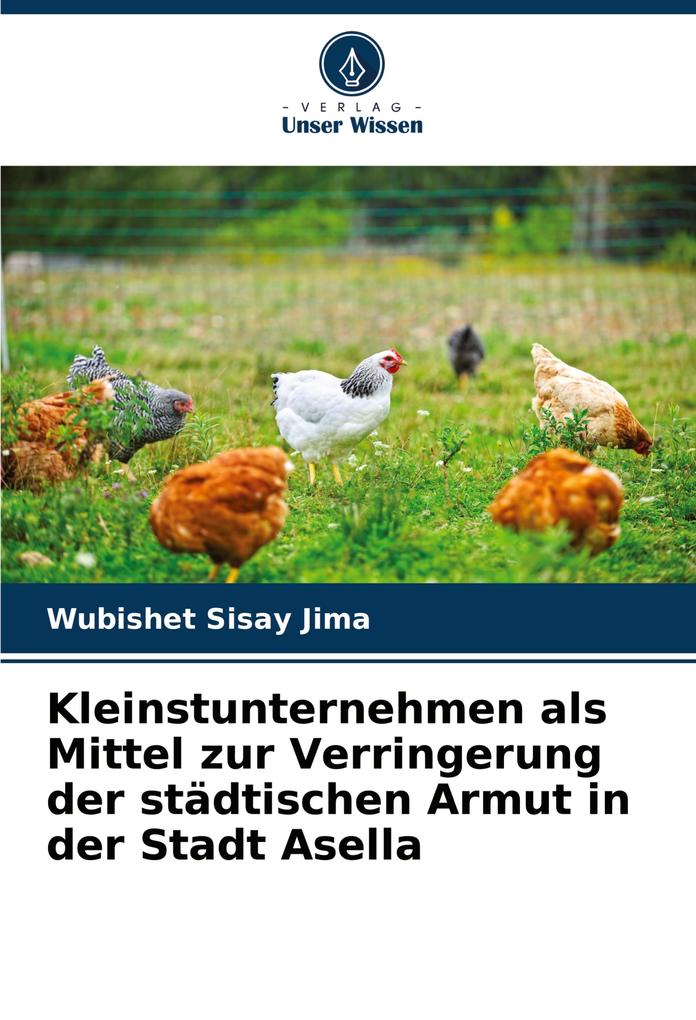 Kleinstunternehmen als Mittel zur Verringerung der städtischen Armut in der Stadt Asella