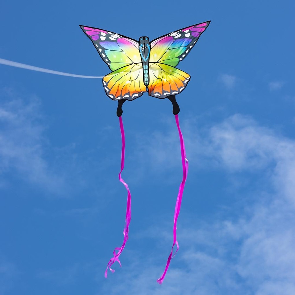 Ecoline 102223 - Ecoline: Butterfly Kite Rainbow 95x120cm Drachen/Kinderdrachen