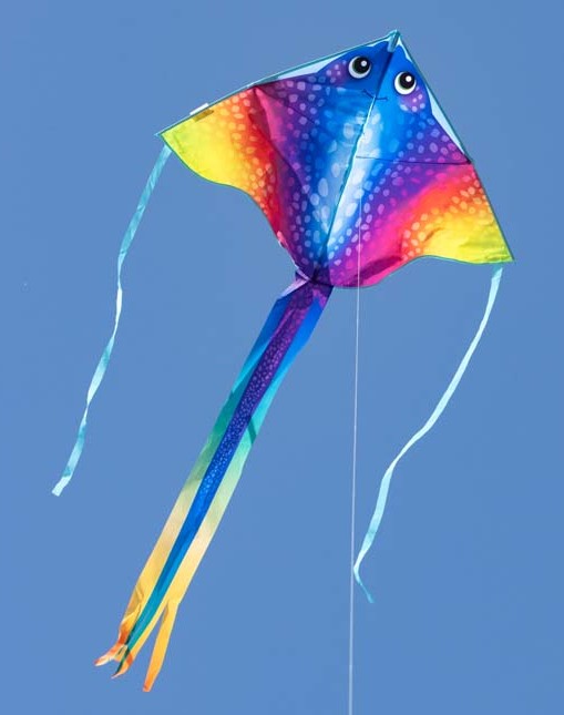 Ecoline 102002 - Ecoline: Simple Flyer Manta 120x75cm Drachen/Kinderdrachen