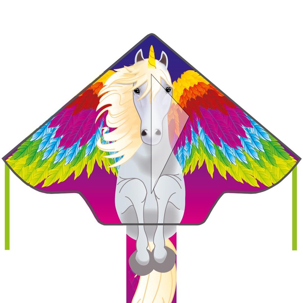 Ecoline 102151 - Ecoline: Simple Flyer Pegasus 75x120cm Drachen/Kinderdrachen