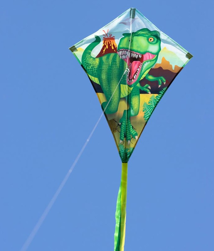 Ecoline 102119 - Ecoline: Eddy T-Rex 70x58cm+25m Drachenschwanz Drachen/Kinderdrachen
