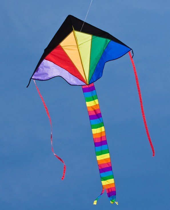 Ecoline 102145 - Ecoline: Simple Flyer Rainbow 75x120cm Drachen/Kinderdrachen