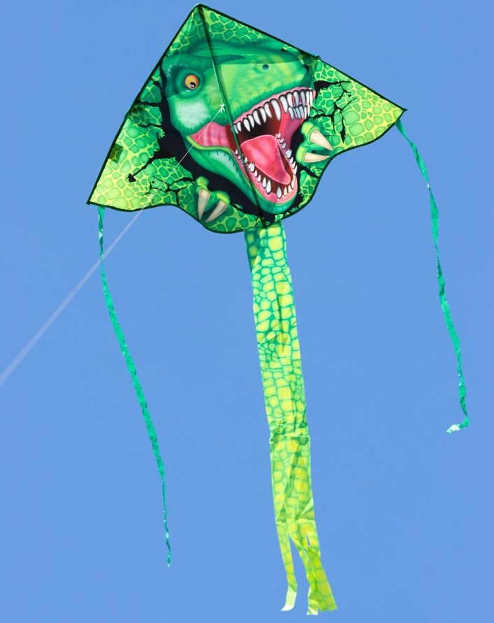 Ecoline 102159 - Ecoline: Simple Flyer T-Rex 75x120cm Drachen/Kinderdrachen