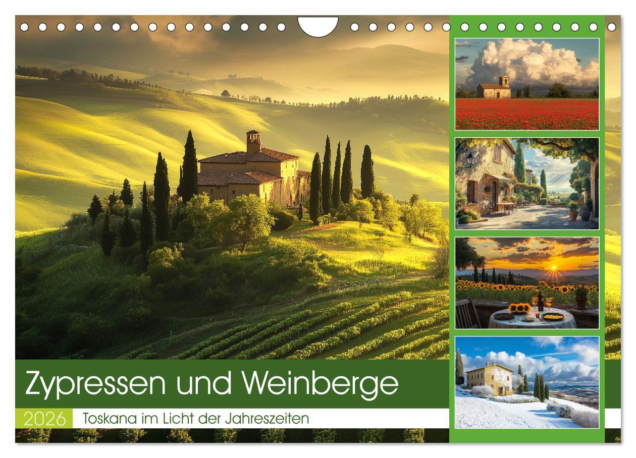 Zypressen und Weinberge (Wandkalender 2026 DIN A4 quer) CALVENDO Monatskalender