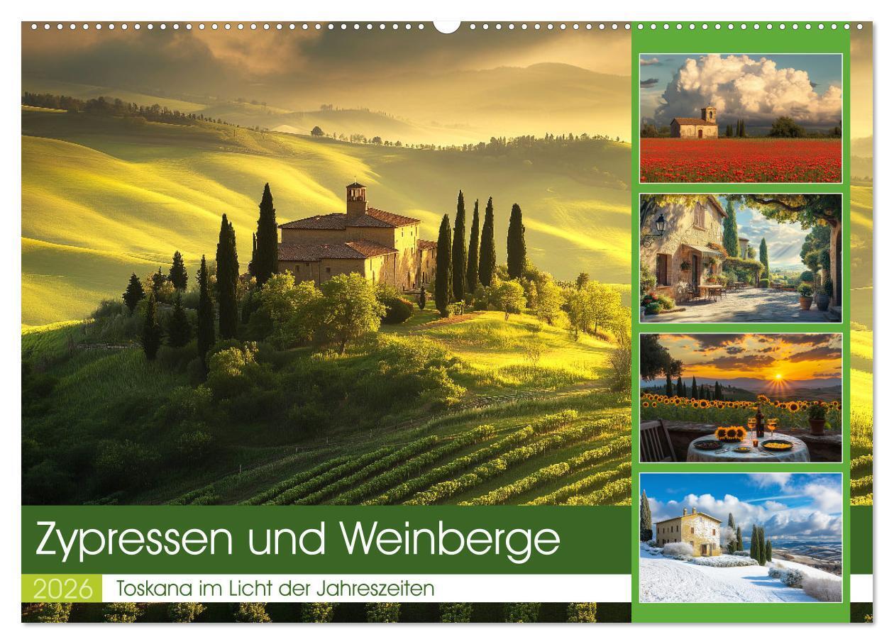 Zypressen und Weinberge (Wandkalender 2026 DIN A2 quer) CALVENDO Monatskalender