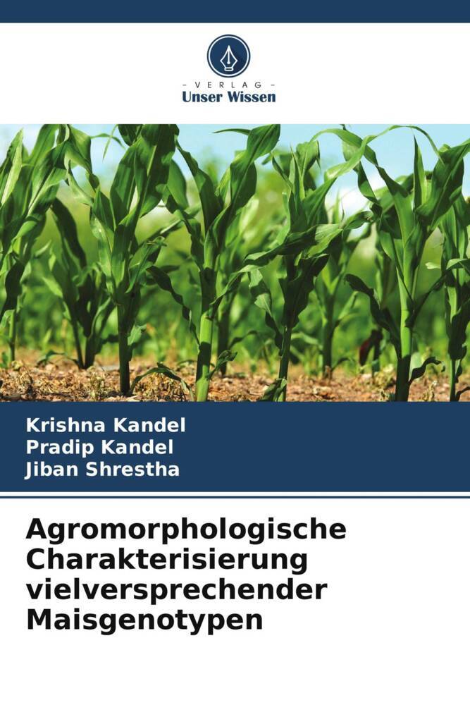 Agromorphologische Charakterisierung vielversprechender Maisgenotypen