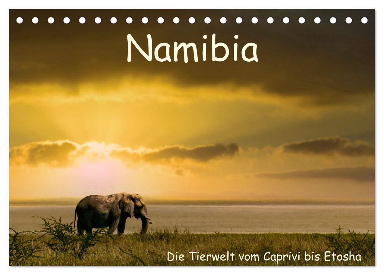 Namibia - Die Tierwelt vom Caprivi bis Etosha (Tischkalender 2026 DIN A5 quer) CALVENDO Monatskalender