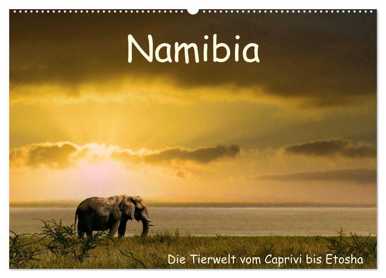 Namibia - Die Tierwelt vom Caprivi bis Etosha (Wandkalender 2026 DIN A2 quer) CALVENDO Monatskalender