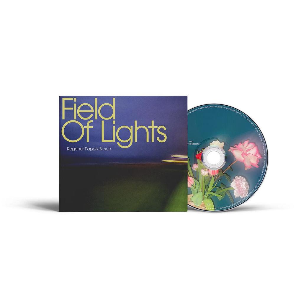 Field Of Lights
