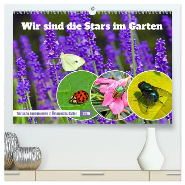 Wir sind die Stars im Garten (hochwertiger Premium Wandkalender 2026 DIN A2 quer) Kunstdruck in Hochglanz