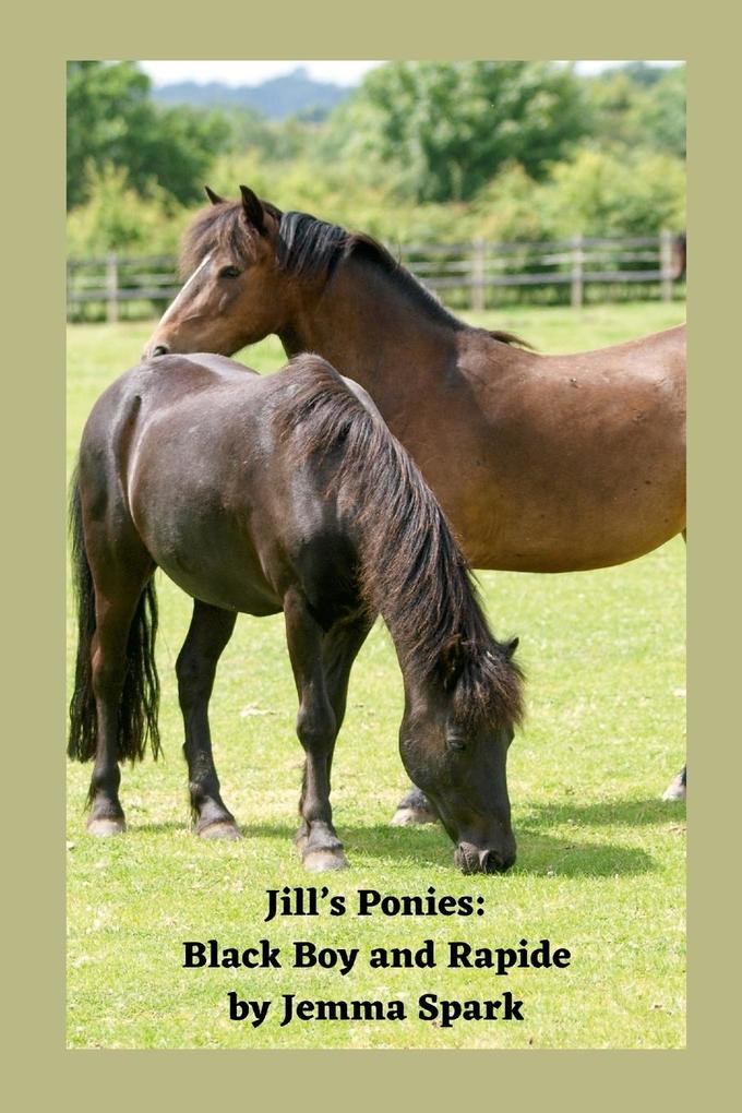 Jill's Ponies