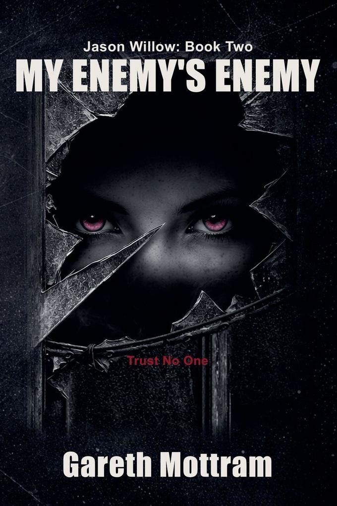 Jason Willow 2 - My Enemy's Enemy
