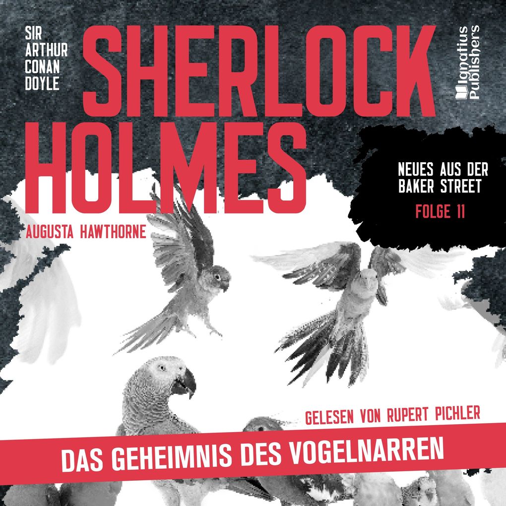 Sherlock Holmes: Das Geheimnis des Vogelnarren (Neues aus der Baker Street Folge 11)