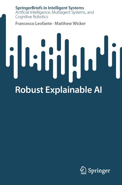 Robust Explainable AI