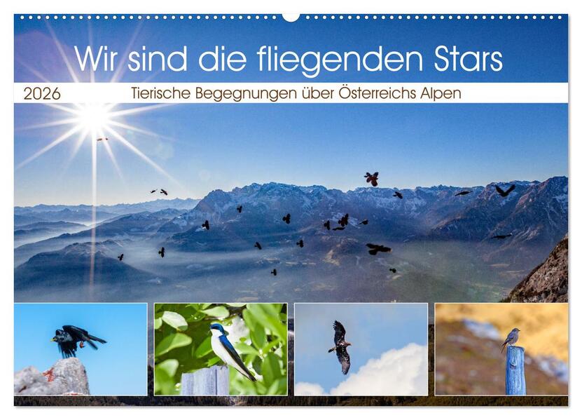 Wir sind die fliegenden Stars (Wandkalender 2026 DIN A2 quer) CALVENDO Monatskalender