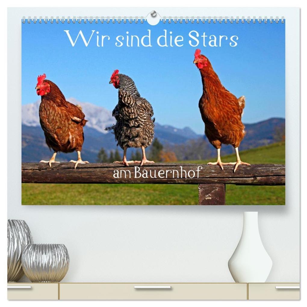 Wir sind die Stars am Bauernhof (hochwertiger Premium Wandkalender 2026 DIN A2 quer) Kunstdruck in Hochglanz