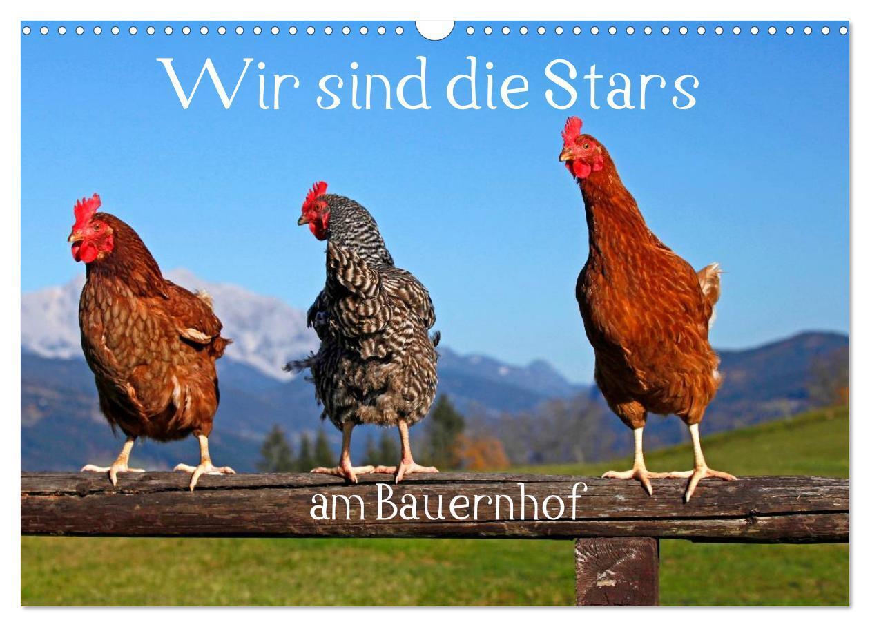 Wir sind die Stars am Bauernhof (Wandkalender 2026 DIN A3 quer) CALVENDO Monatskalender