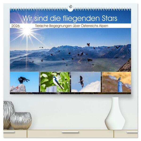Wir sind die fliegenden Stars (hochwertiger Premium Wandkalender 2026 DIN A2 quer) Kunstdruck in Hochglanz