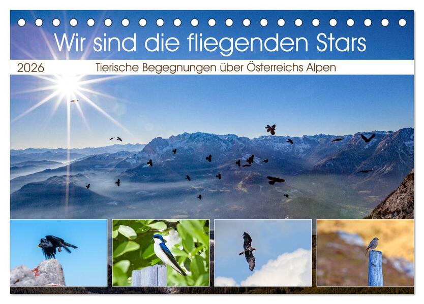 Wir sind die fliegenden Stars (Tischkalender 2026 DIN A5 quer) CALVENDO Monatskalender