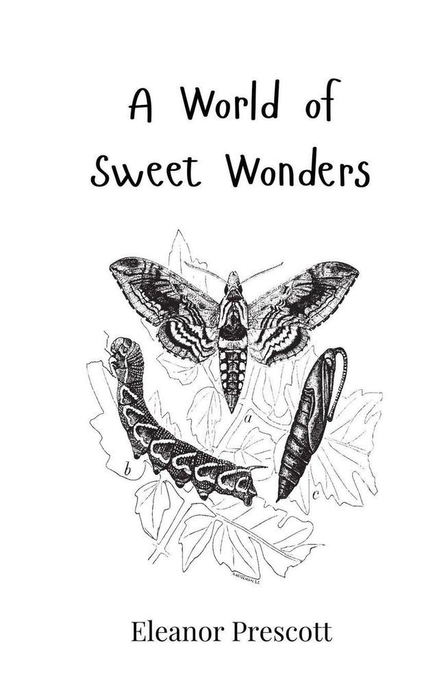A World of Sweet Wonders