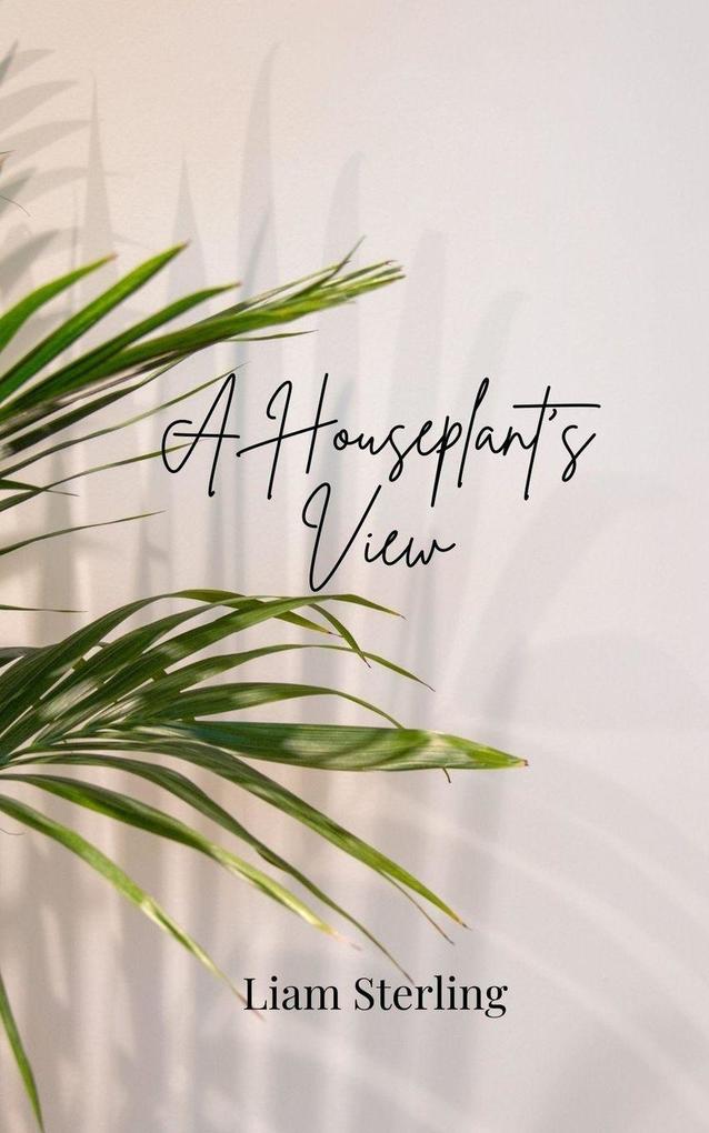 A Houseplant's View