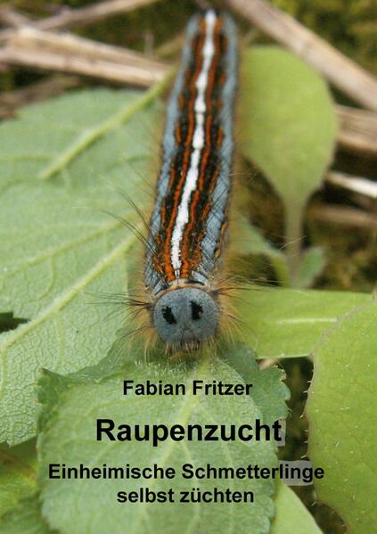 Raupenzucht
