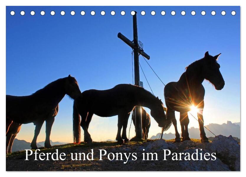 Pferde und Ponys im Paradies (Tischkalender 2026 DIN A5 quer) CALVENDO Monatskalender