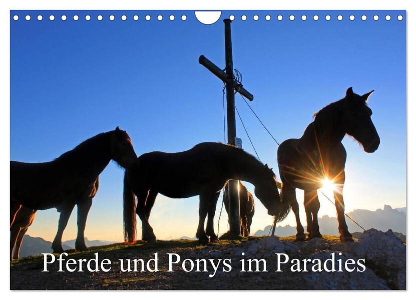 Pferde und Ponys im Paradies (Wandkalender 2026 DIN A4 quer) CALVENDO Monatskalender
