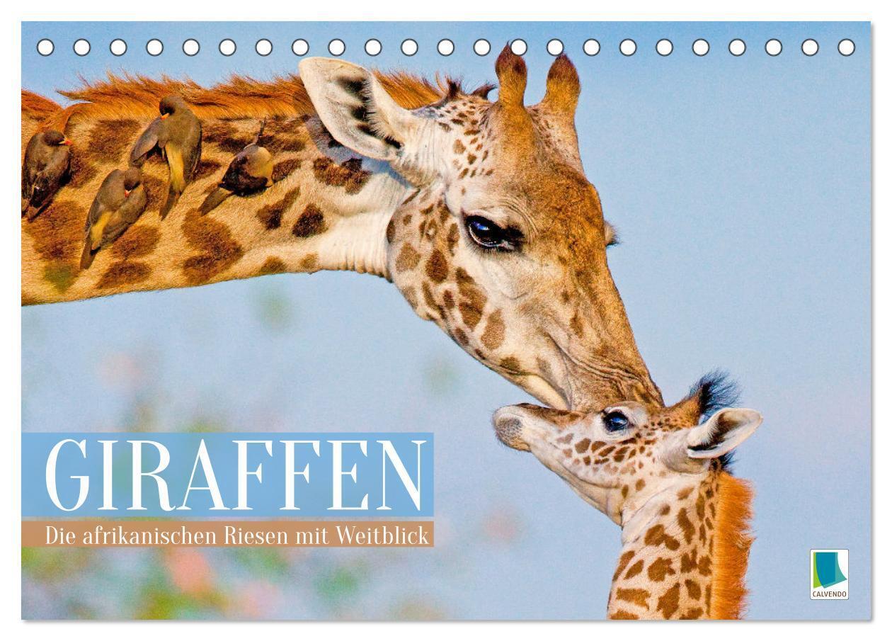 Giraffen: Die afrikanischen Riesen mit Weitblick (Tischkalender 2026 DIN A5 quer) CALVENDO Monatskalender