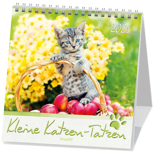 Kleine Katzen-Tatzen 2026