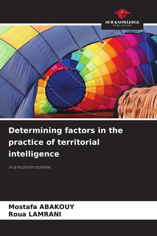 Determining factors in the practice of territorial intelligence