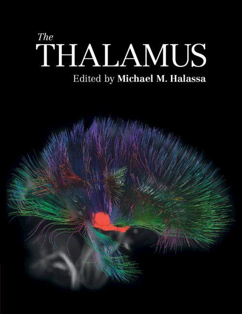 The Thalamus