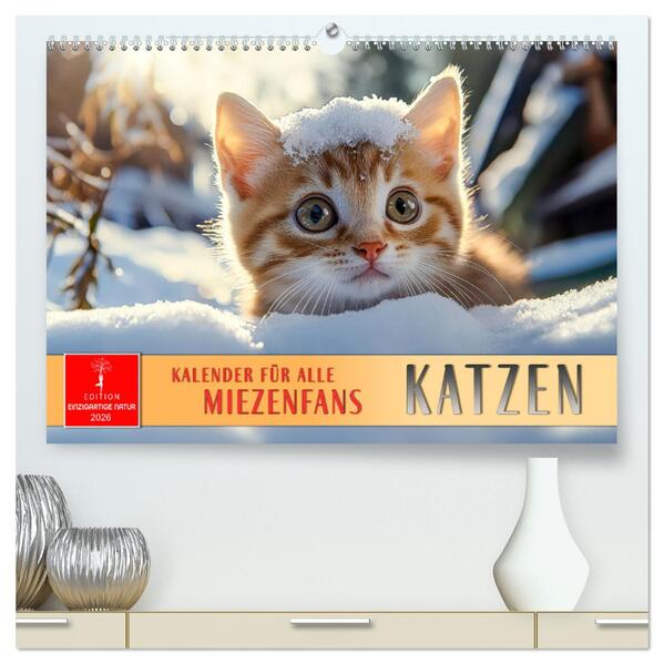 Katzen - Kalender für alle Miezenfans (hochwertiger Premium Wandkalender 2026 DIN A2 quer) Kunstdruck in Hochglanz