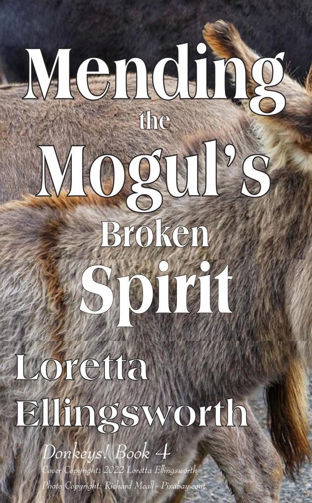 Mending the Mogul's Broken Spirit (Donkeys! #4)